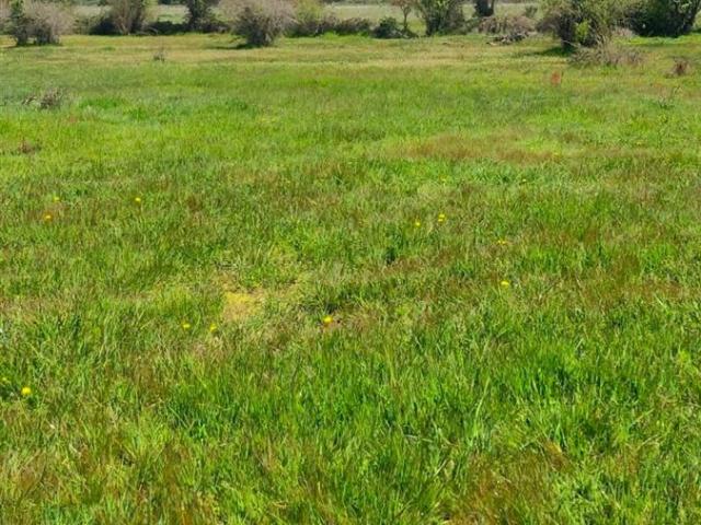 Terreno en venta en Linares, Maule