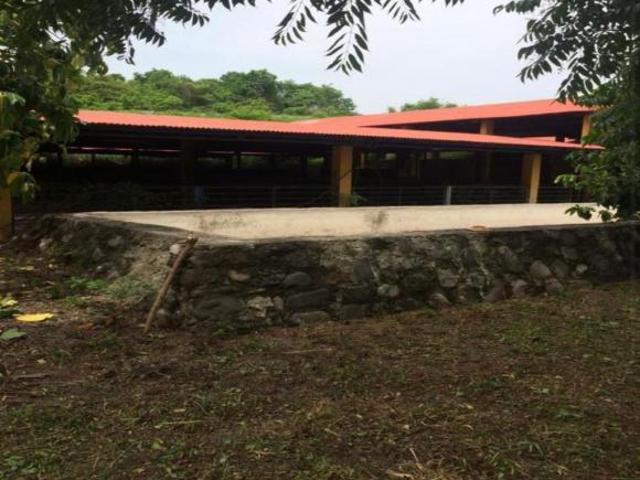 La Antigua, RANCHO EN VENTA, con instalaciones para manejo de ganado