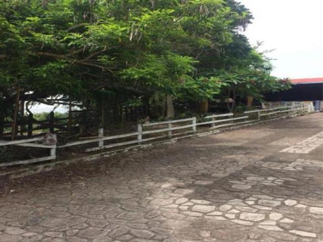 La Antigua, RANCHO EN VENTA, con instalaciones para manejo de ganado