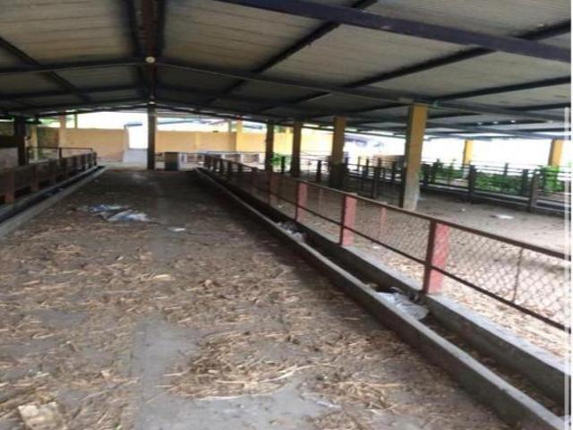 La Antigua, RANCHO EN VENTA, con instalaciones para manejo de ganado