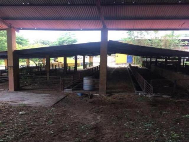 La Antigua, RANCHO EN VENTA, con instalaciones para manejo de ganado