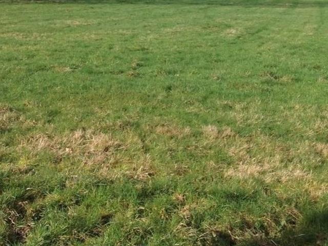 Terrain vente à Alençon, La Baroche-sous-lucé