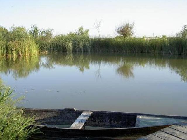Casa en alquiler en Deltebre