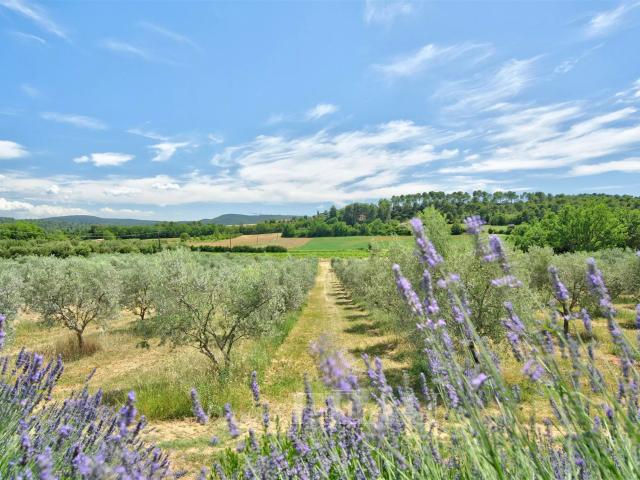 Maison vente à Apt, La Bastide-des-jourdans