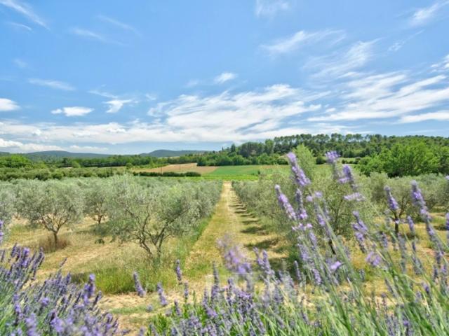 Maison vente à Apt, La Bastide-des-jourdans