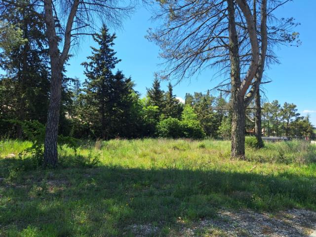 Terrain vente à Apt, La Bastide-des-jourdans