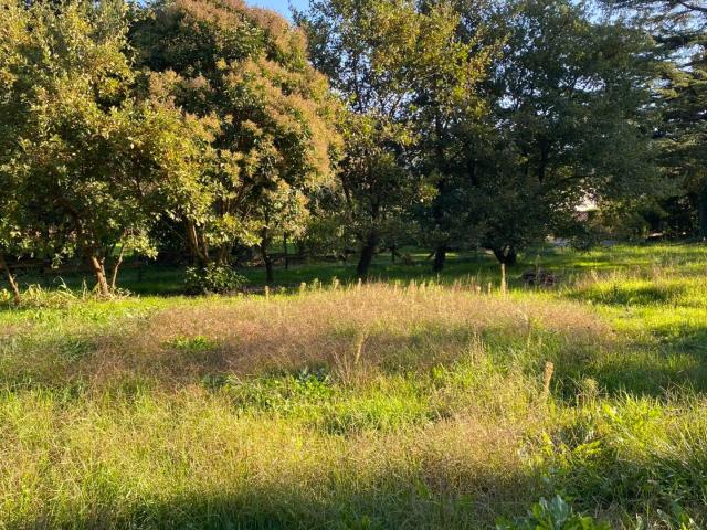 Terrain vente à La Bégude-de-mazenc, Drôme
