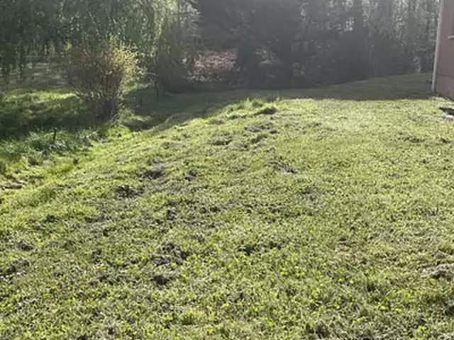 Terrain vente à Bordeaux, La Brède