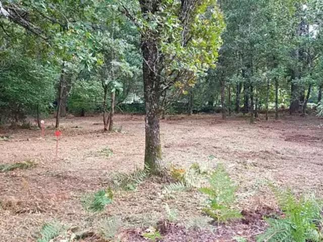 Terrain vente à Bordeaux, La Brède