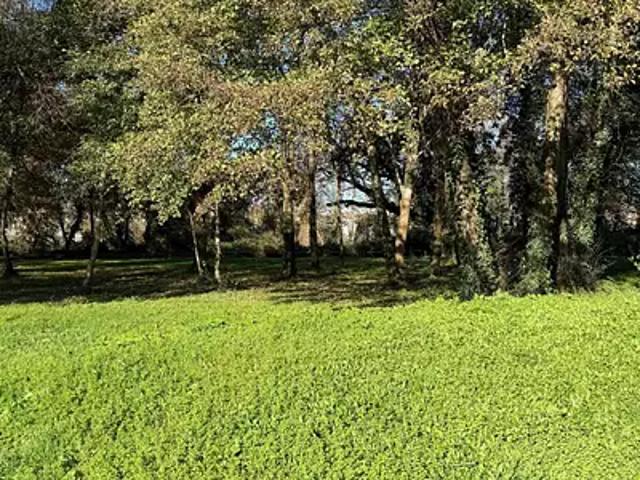Terrain vente à Bordeaux, La Brède