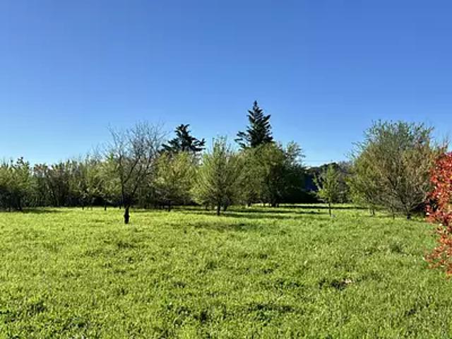 Terrain vente à Nîmes, La Bruguière