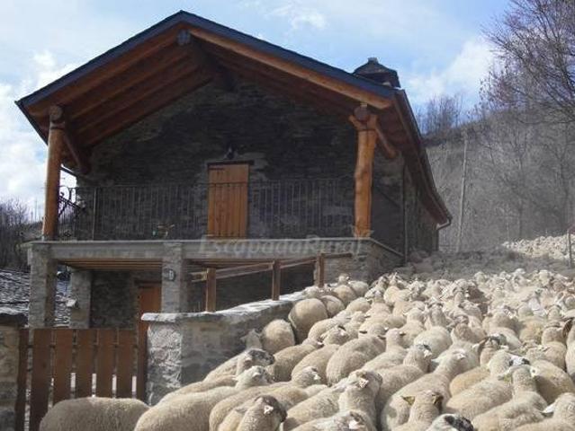 Casa en alquiler en Ripollès, Catalunya