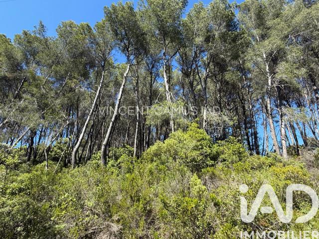 Terrain vente à Arrondissement de Toulon, La Cadière-d'azur