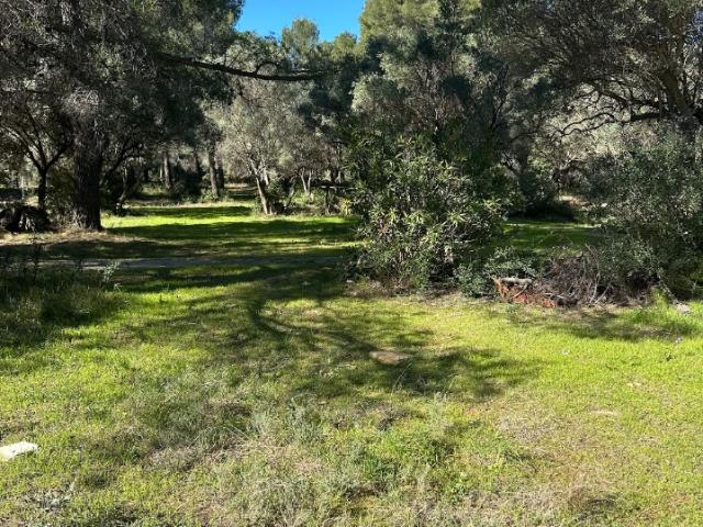 Terrain vente à Arrondissement de Toulon, La Cadière-d'azur