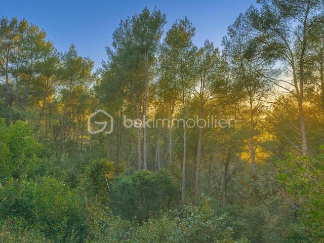 Terrain vente à Arrondissement de Toulon, La Cadière-d'azur