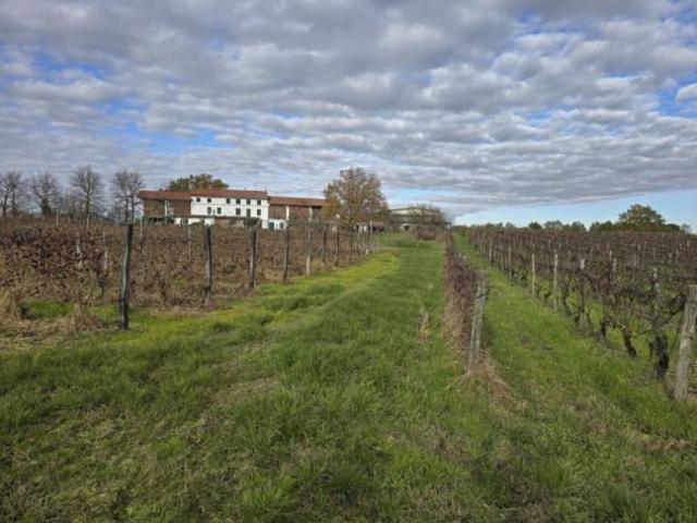 Terreno in vendita a Piemonte, Alessandria