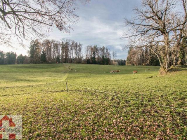 Einfamilienhaus kaufen in Corsier-sur-Vevey, Waadt