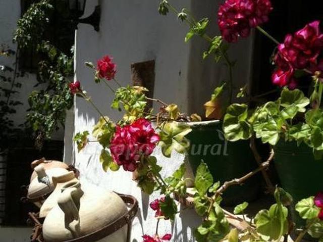 Casa en alquiler en Casabermeja