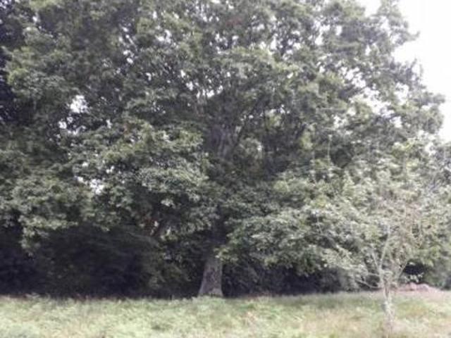 Casa en alquiler en Villaviciosa, Asturias