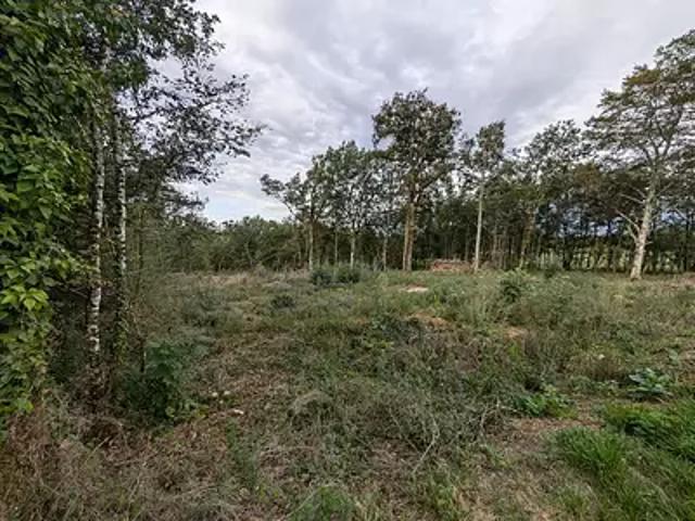 Terrain vente à Sarlat-la-Canéda, La Cassagne