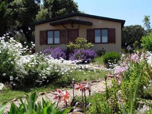 Casa en alquiler en Belvís De Monroy, Extremadura