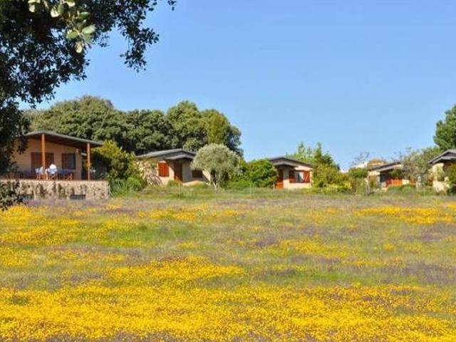 Casa en alquiler en Belvís De Monroy, Extremadura