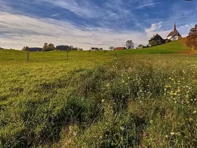 Terrain vente à La Roche-sur-Yon, La Chaize-le-vicomte