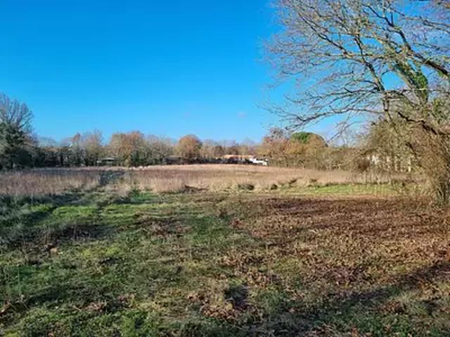 Terrain vente à La Chaize-le-vicomte