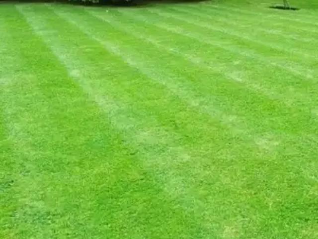 Terrain vente à La Roche-sur-Yon, La Chaize-le-vicomte