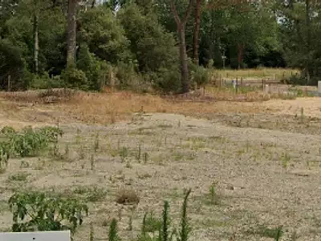 Terrain vente à La Chaize-le-vicomte