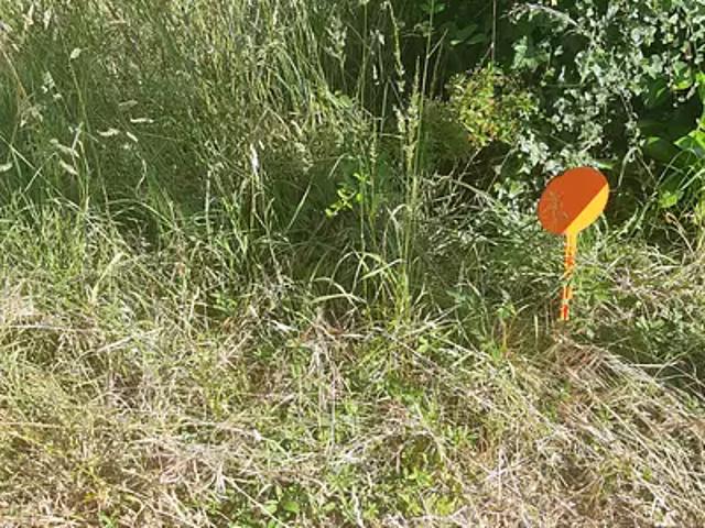 Terrain vente à Saint-Nazaire, La Chapelle-des-marais
