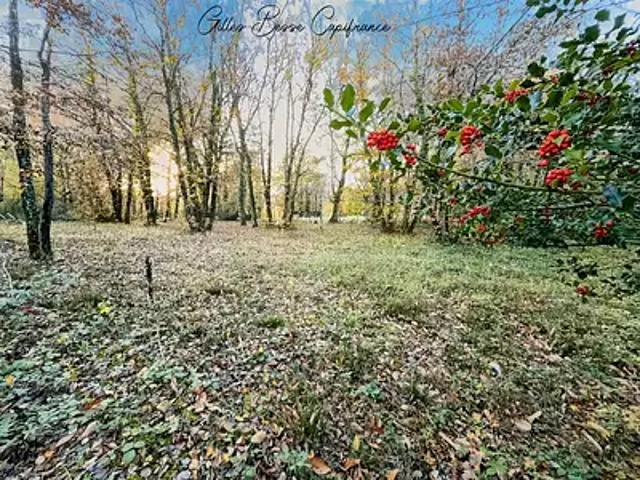 Terrain vente à Périgueux, La Chapelle-gonaguet