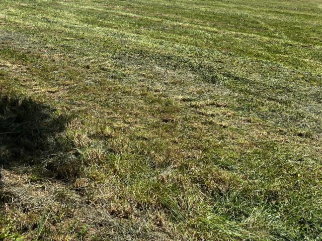 Terrain vente à France métropolitaine, La Clisse