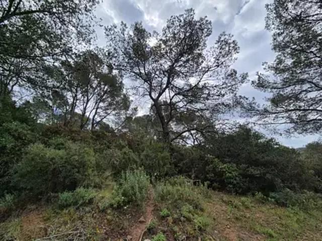 Terrain vente à Arrondissement de Toulon, La Crau