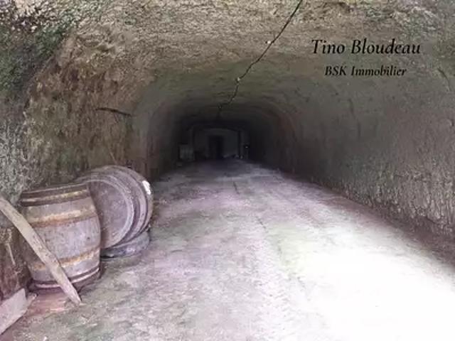 Maison vente à Loches, La Croix-en-touraine