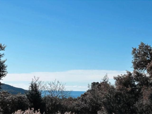 Villa vente à Arrondissement de Draguignan, La Croix-valmer