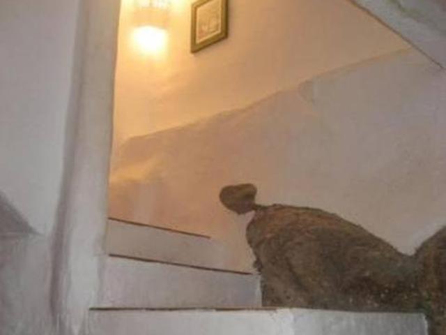 Casa en alquiler en Casas Del Castañar, Extremadura
