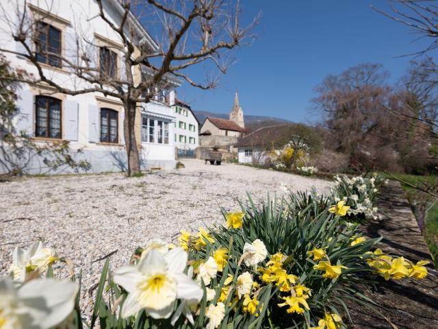 Haus kaufen in Bonvillars, Waadt