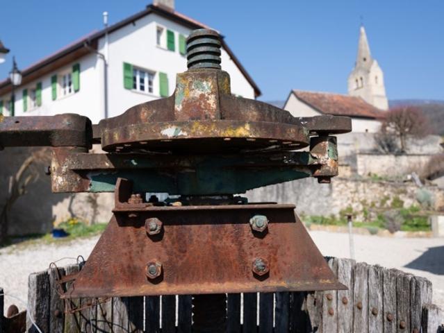 Einfamilienhaus kaufen in Bonvillars, Waadt