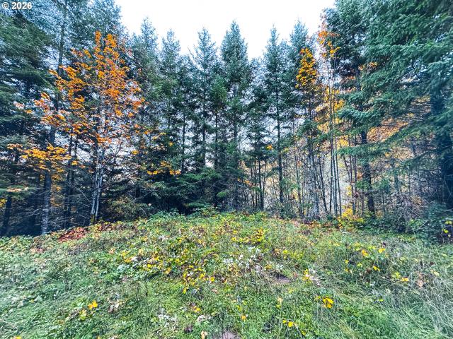 Land for sale in Oregonia