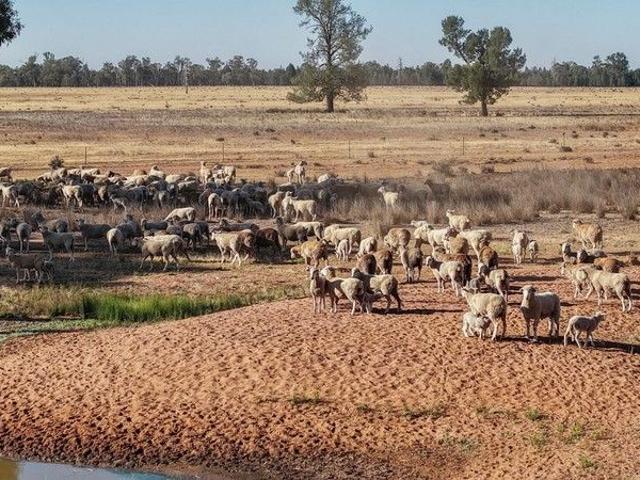 Cottage for sale in Bruie Plains, New South Wales