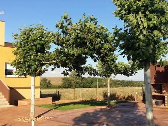 Casa en alquiler en Monterrubio De La Sierra, Castilla y León