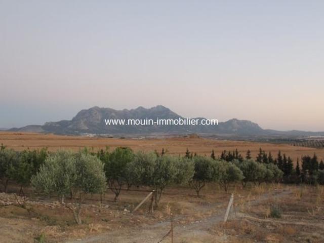 Ferme vente à Bir Mcherga