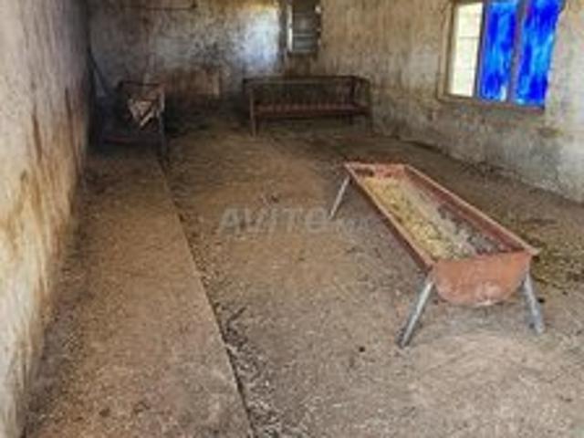 Propriété vente à Anfa, Gharb-Chrarda-Beni Hssen