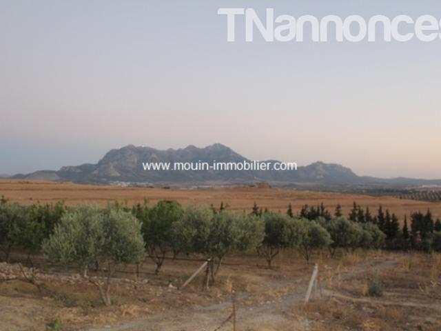 Terrain location à Bir Mcherga