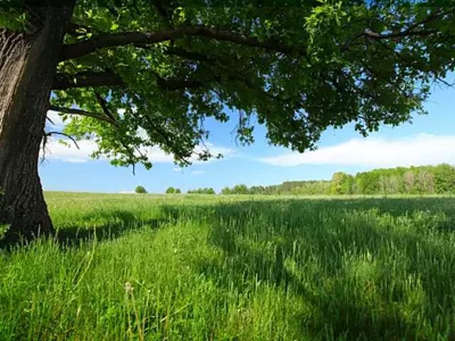 Terrain vente à Nevers, La Fermeté