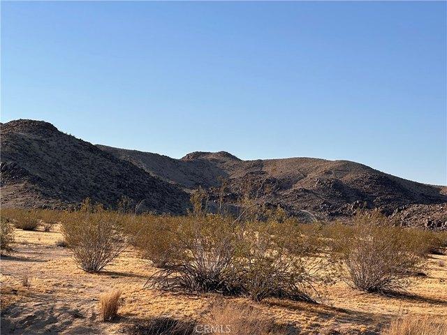 Land for sale in Joshua Tree, California