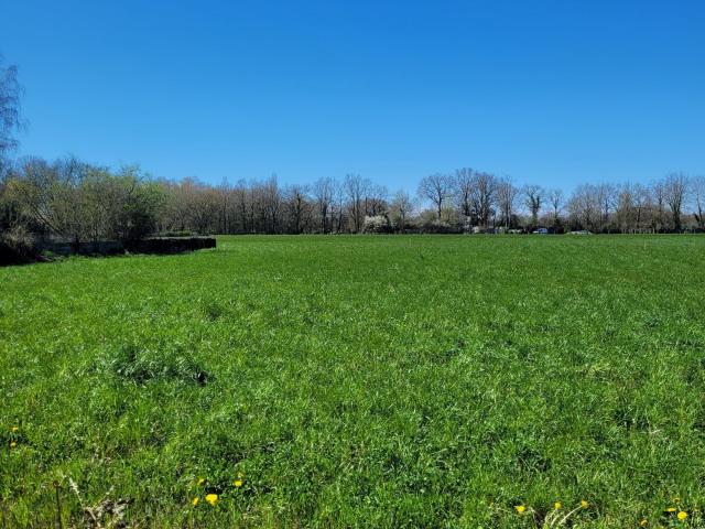 Terrain vente à La Roche-sur-Yon, La Ferrière