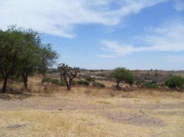 LA FIRMA REAL STATE VENDE TERRENO EN CALVILLITO DE 50 mil m2 TODO O EN PARTES A $180.00/M2