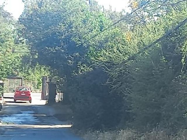 La Florida, Calle Uno 18